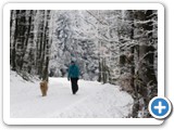 100 NEL BOSCO